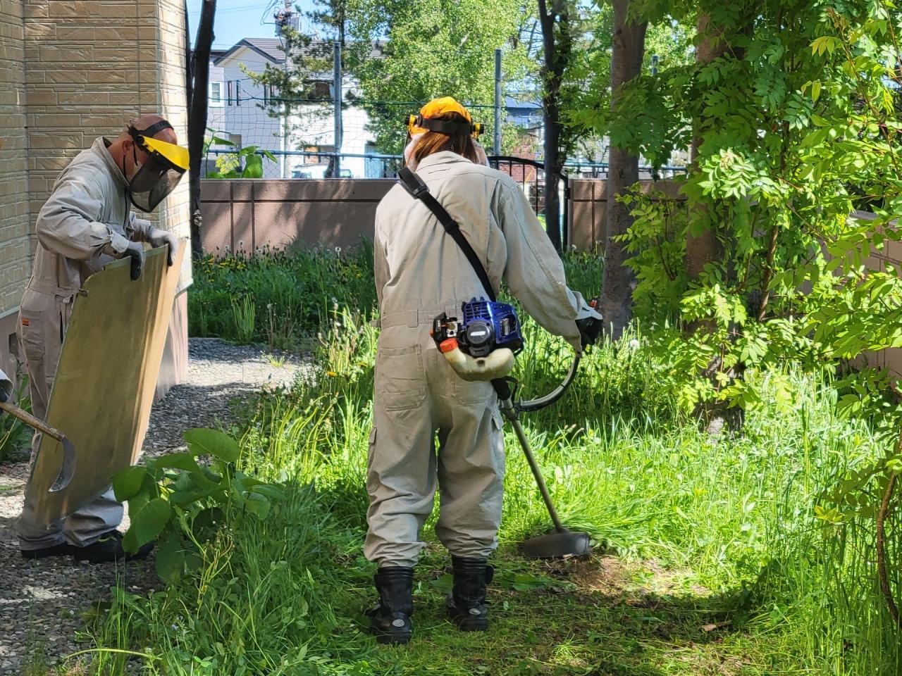 草刈作業スタート🍃