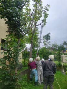 屋外, 草, 民衆, 木 が含まれている画像

AI によって生成されたコンテンツは間違っている可能性があります。