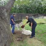 草, 屋外, 男, 木 が含まれている画像

AI によって生成されたコンテンツは間違っている可能性があります。