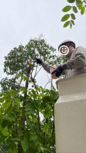 屋外, 男, 女性, 板 が含まれている画像

AI によって生成されたコンテンツは間違っている可能性があります。